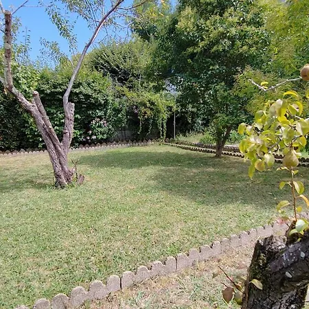 Emplacement Jardin Pour Tente * Bayonne